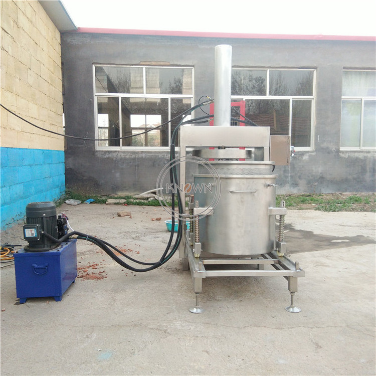 OEM Commercial Hydraulic Fruit Vegetable Cold Filter Press Juice Machine Stainless Steel 50L Mulberry Mango Juicer Extractor