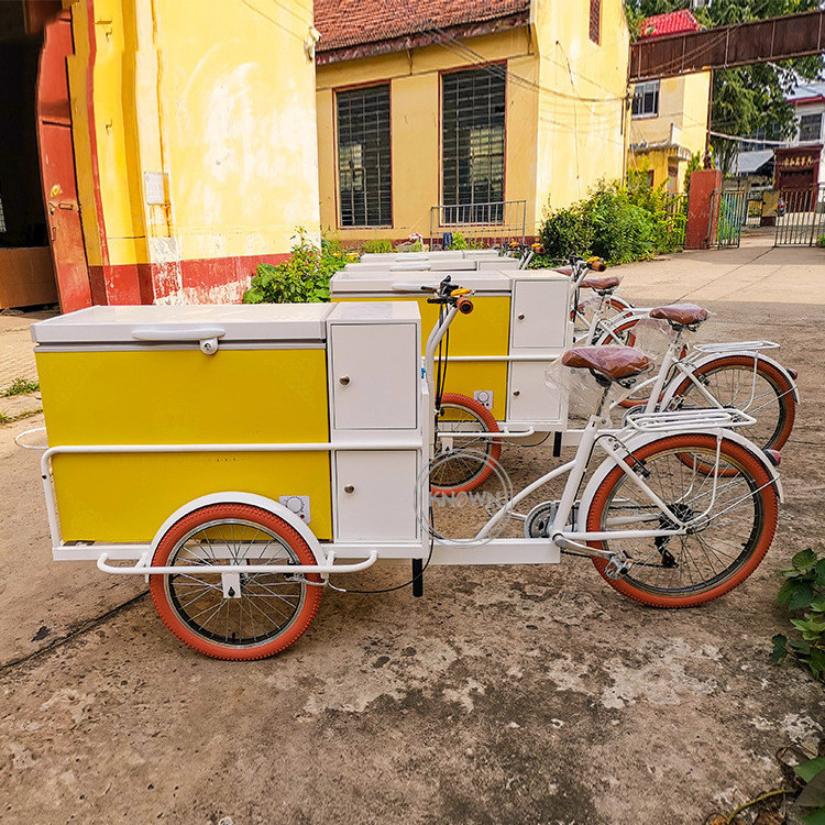 OEM Outdoor Street Mobile Ice Cream Bike With Freezer Customized Electric Refrigerator Catering Tricycle Food Bicycle