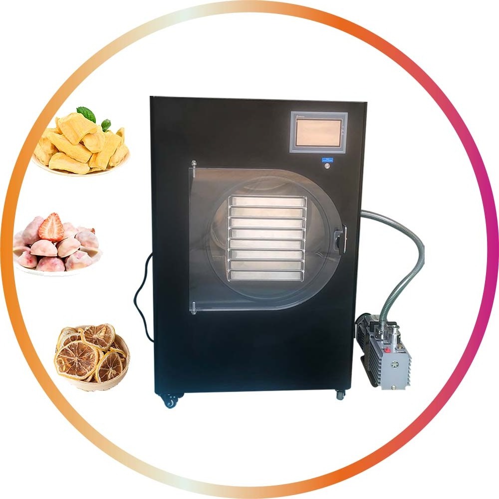 Mini Small Food Business Home Laboratory Lyophilizador Freeze Dryer With Oil Free Oilfree Oilless Dry Vacuum Pump