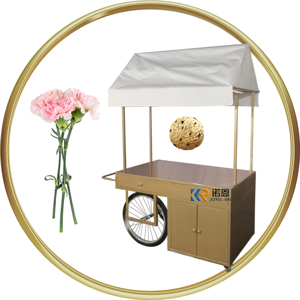 2024 New Mobile Umbrella Gelato Ice Cream Cart Freezer Price Mobile Food Popsicle Ice Cream Cart