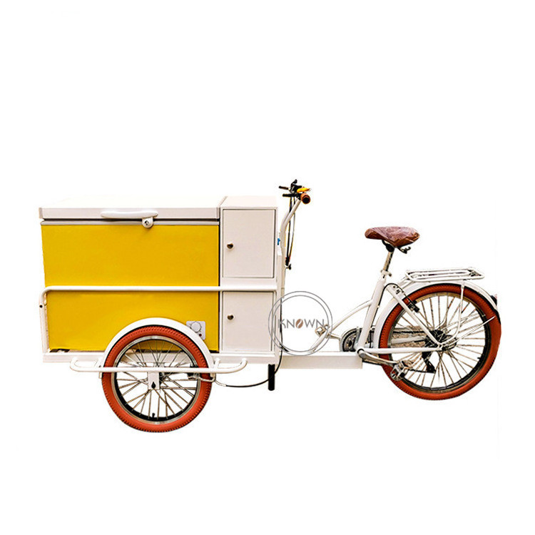 OEM Outdoor Street Mobile Ice Cream Bike With Freezer Customized Electric Refrigerator Catering Tricycle Food Bicycle