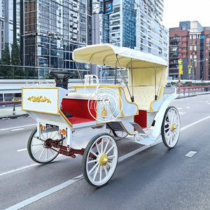 2024 OEM New Horse Carriage Drawn With Hood English Bridal Horse Trailer Cabriolet Royal