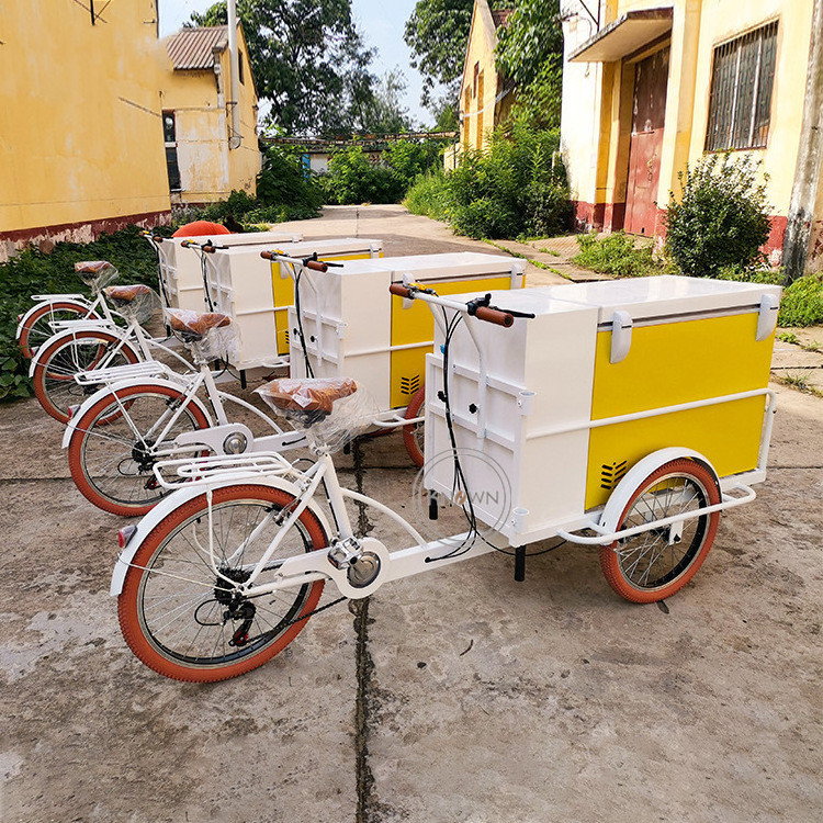 OEM Outdoor Street Mobile Ice Cream Bike With Freezer Customized Electric Refrigerator Catering Tricycle Food Bicycle