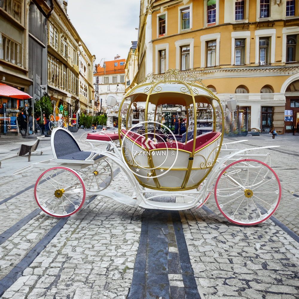 2024 Horse For Wedding Sightseeing Horse Pulling Cart For Sale Sightseeing Horse Carriage Wagon