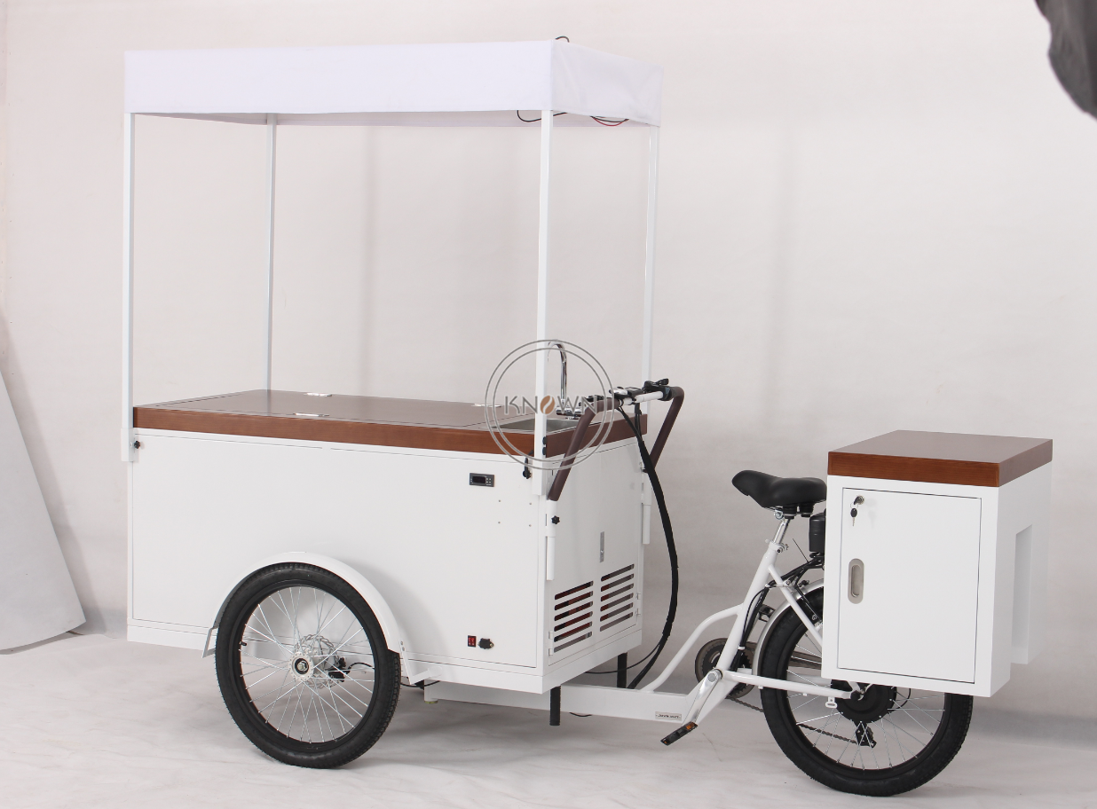 2024 Mobile Freezer Tricycle with Ice Maker Electric Cargo Bike for Sale Ice Cream Popsicle Vending Cart