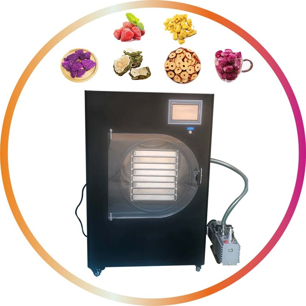 Mini Small Food Business Home Laboratory Lyophilizador Freeze Dryer With Oil Free Oilfree Oilless Dry Vacuum Pump