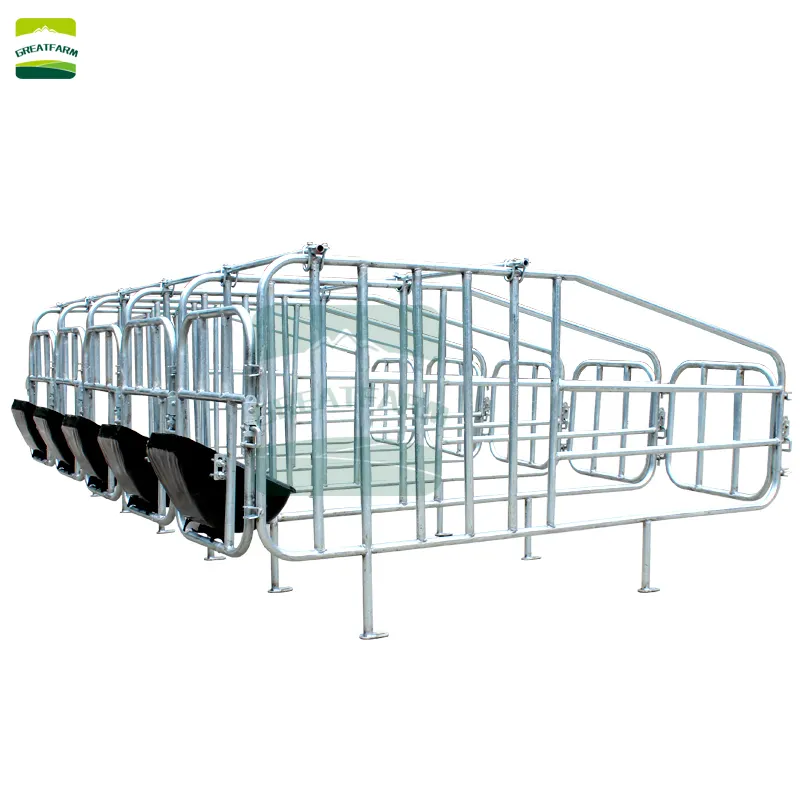 High quality  Sow gestating pen For Pigs pig stalls For Pig farming Equipment limit bar for sow