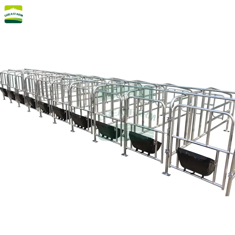 High quality  Sow gestating pen For Pigs pig stalls For Pig farming Equipment limit bar for sow