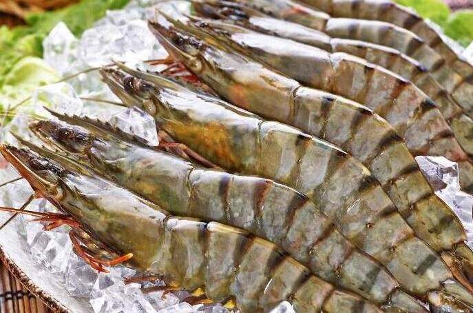 Nutritious Delicious High Protein Frozen Black Tiger Shrimp