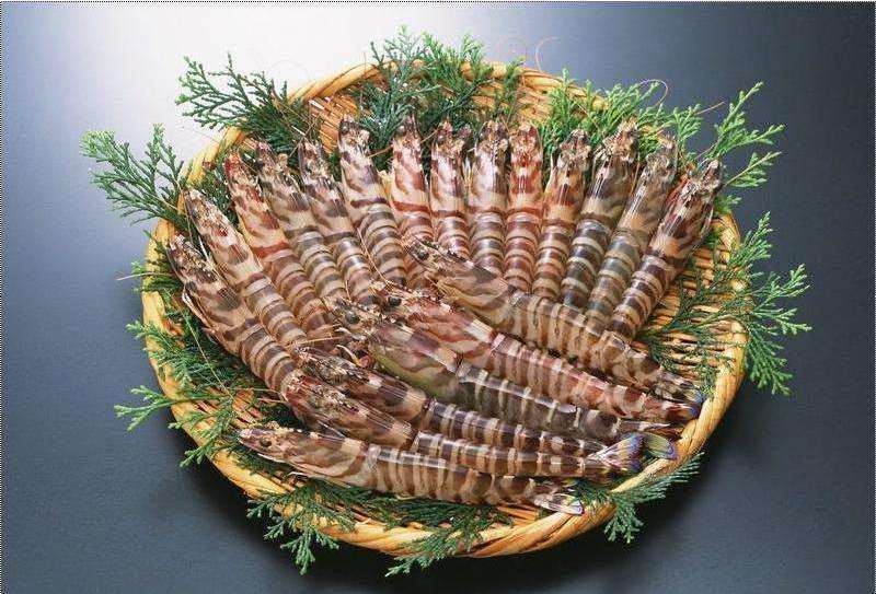 Nutritious Delicious High Protein Frozen Black Tiger Shrimp