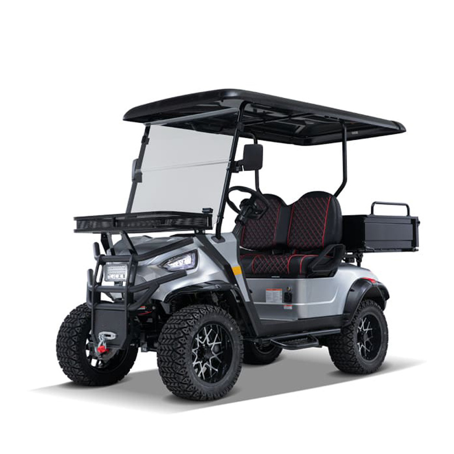 New electric golf carts 2 Seater Small Golf Cart Truck With Rear Cargo Bed