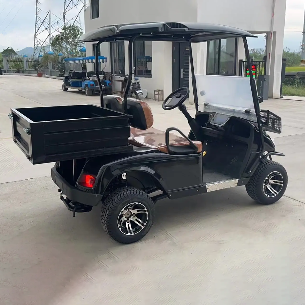 72V Lithium battery 4 Wheel Drive Cargo Buggy 2 Seater Electric UTV Golf Cart