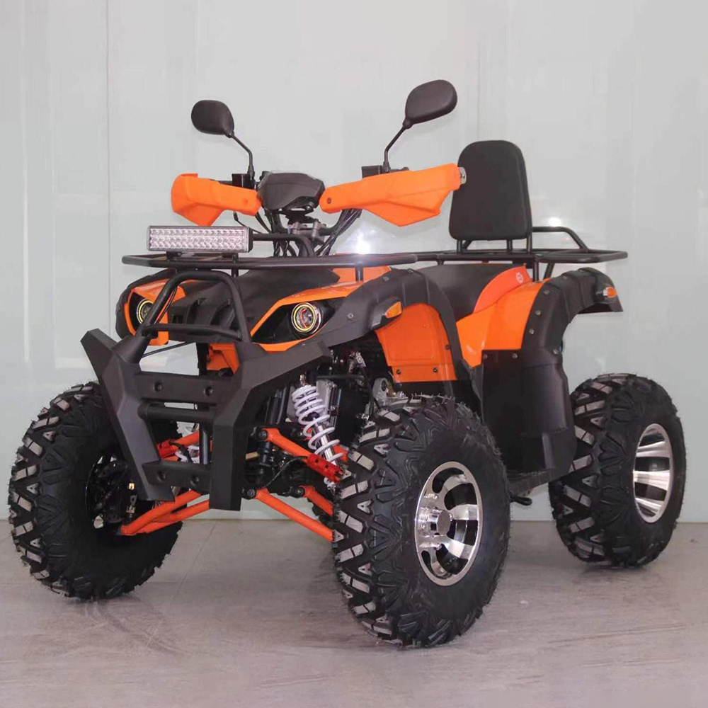 Custom 200cc Petrol Engine off Road Buggy 2WD 4WD ATV for Adult