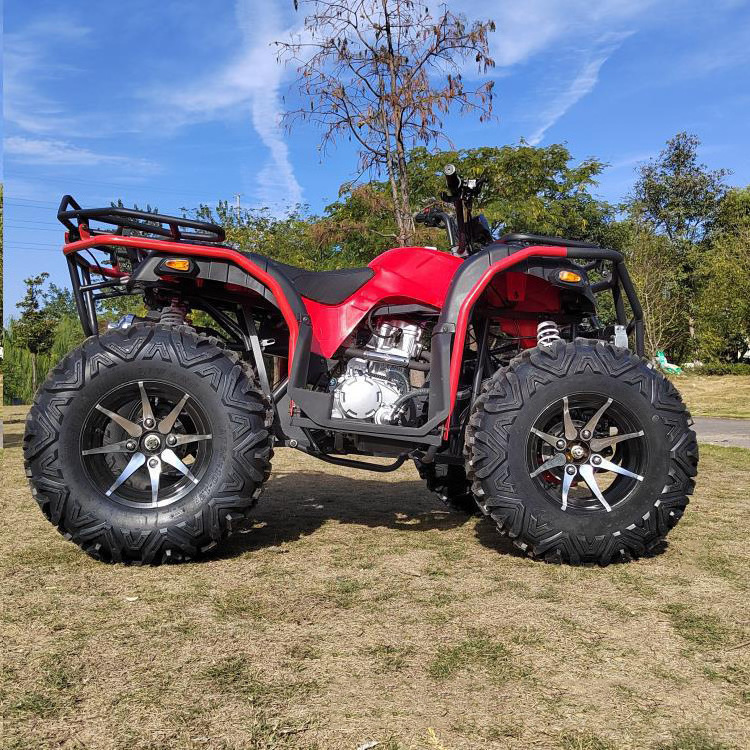 Custom 200cc Petrol Engine off Road Buggy 2WD 4WD ATV for Adult