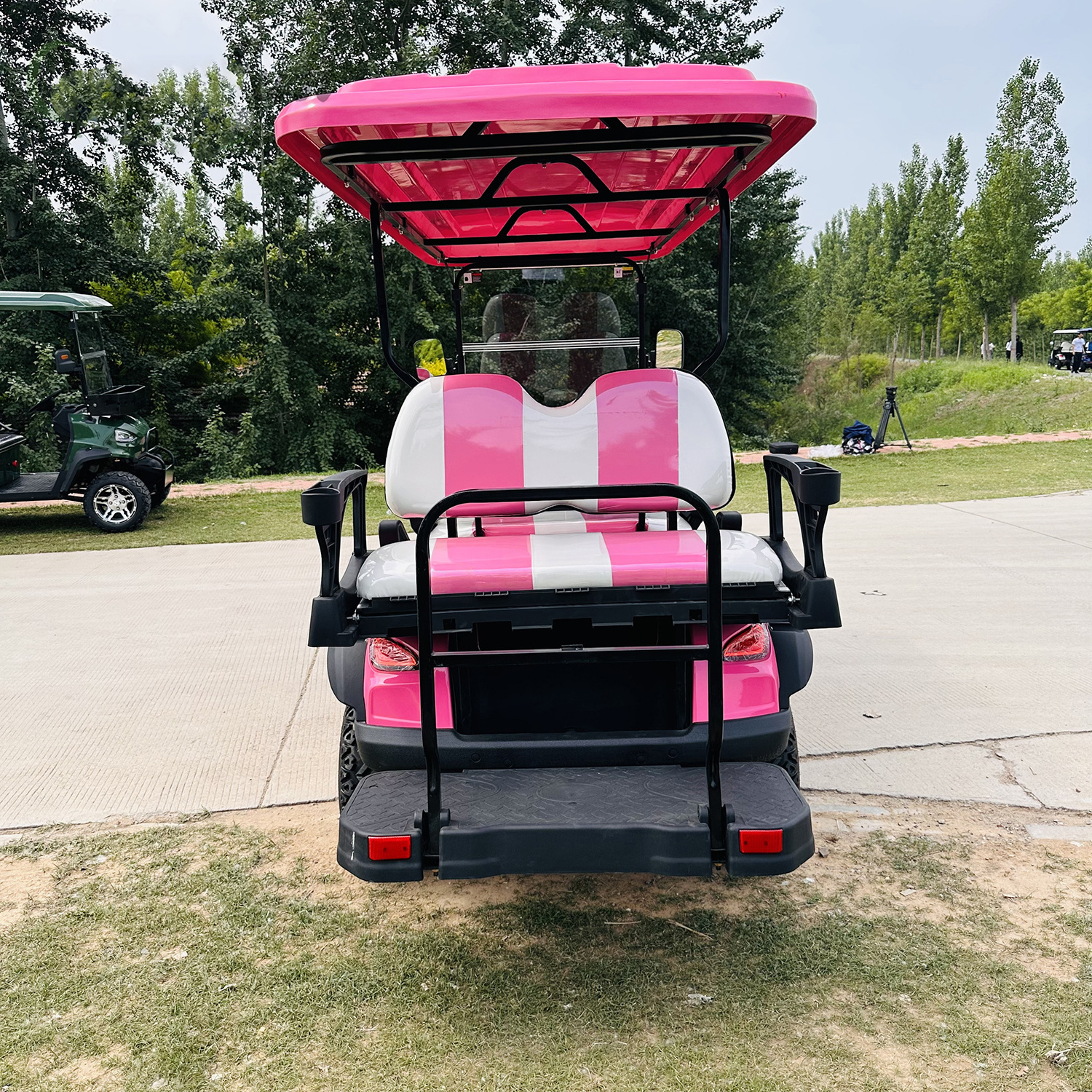 6 seater 4 wheel electric pink golf cart 4x4  golf cart for sale 3000W motor power 100Ah battery