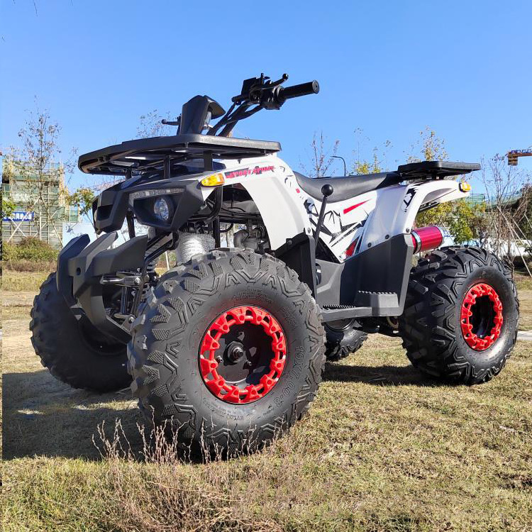 250cc 4 Stroke 800W Farmer Gas Powered Motor Mini Petrol Quad for Sale 4*4 ATV