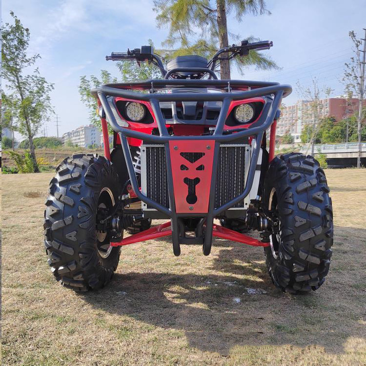 Custom 200cc Petrol Engine off Road Buggy 2WD 4WD ATV for Adult