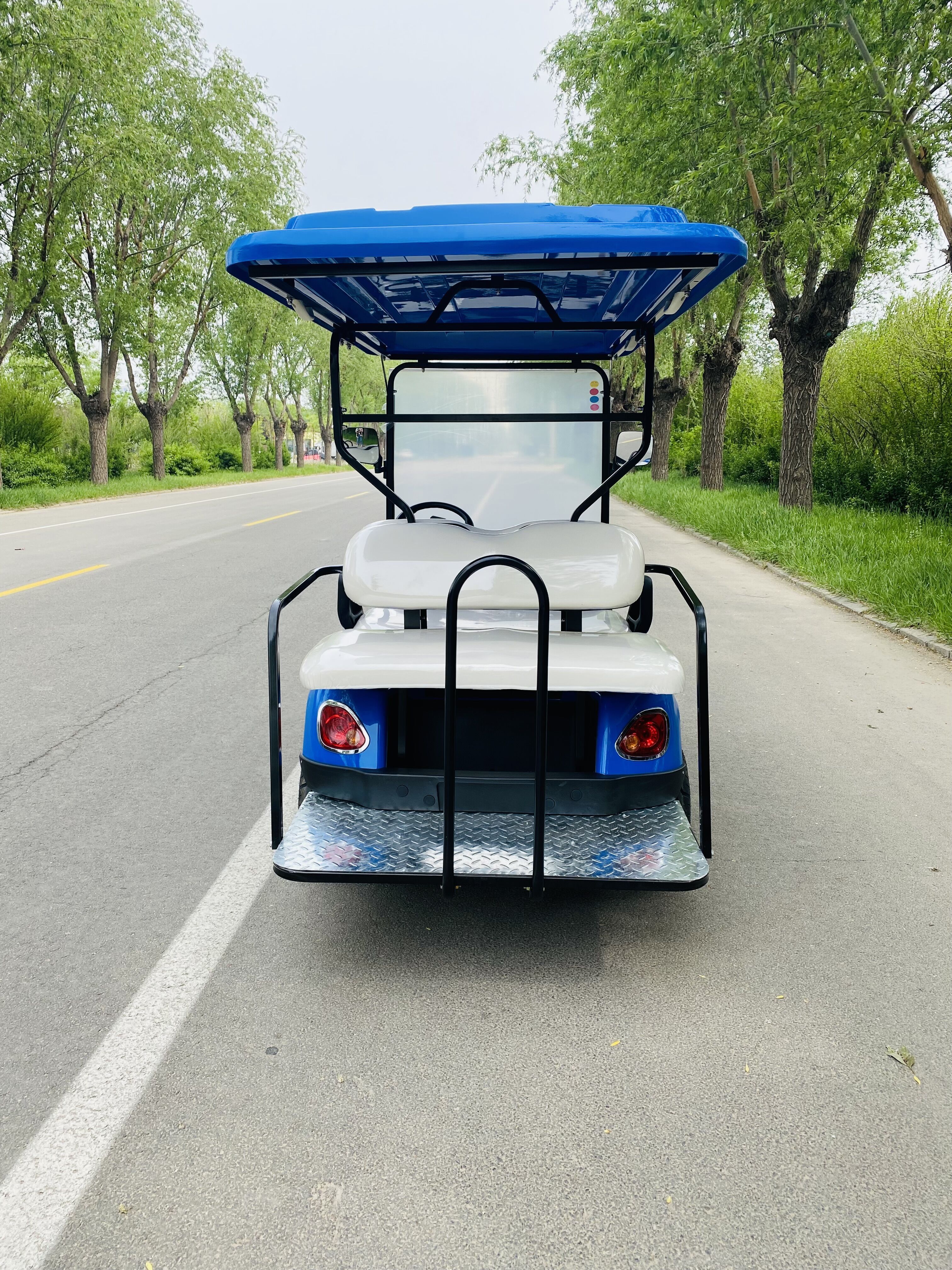 Street legal 4 Passenger gas golf cart or electric golf cart with sun shade