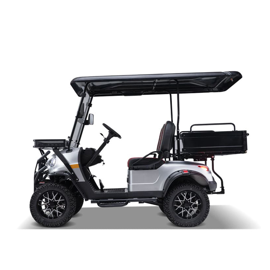 Customized Pickup Truck Aluminum Cargo Bed Buggy Cart 2 Seater Golf Utility Cart Electric