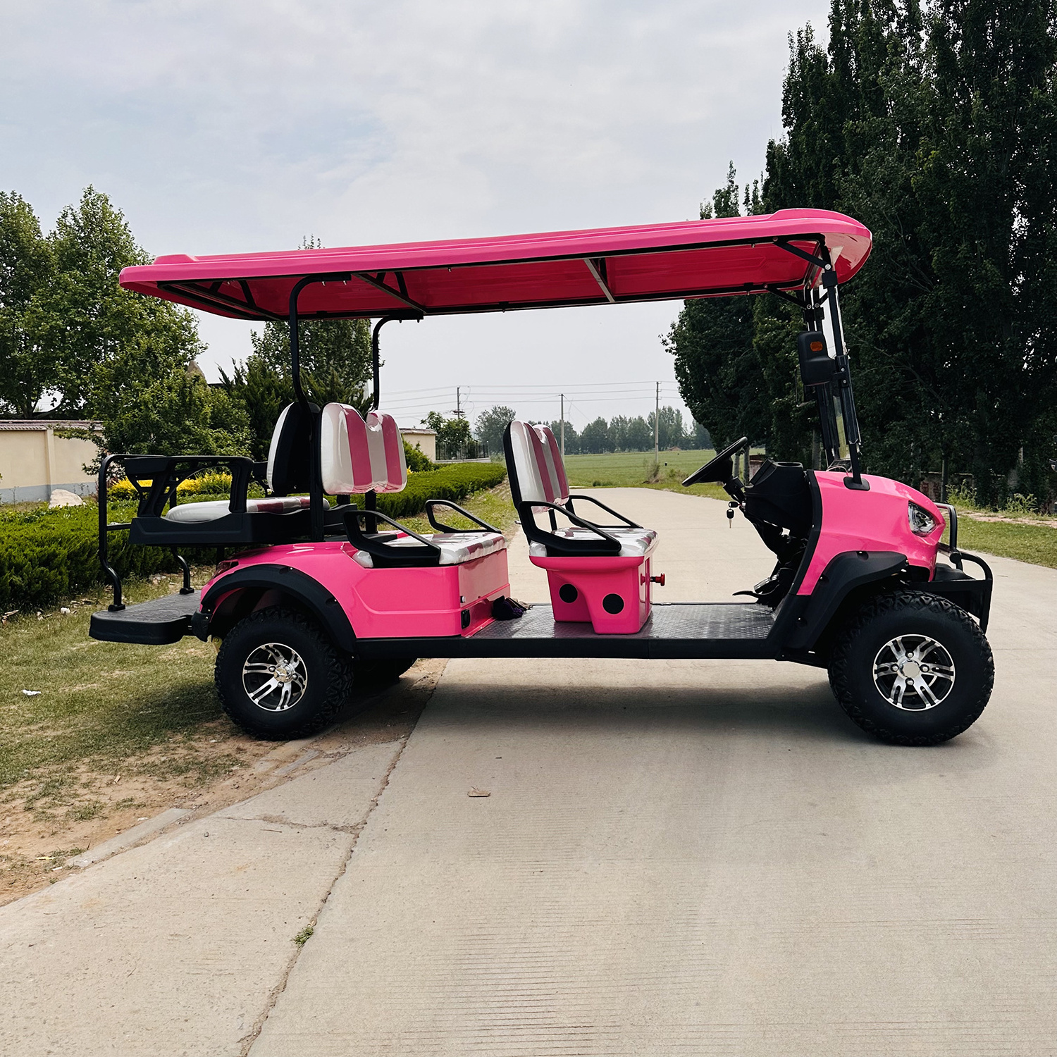 6 seater 4 wheel electric pink golf cart 4x4  golf cart for sale 3000W motor power 100Ah battery