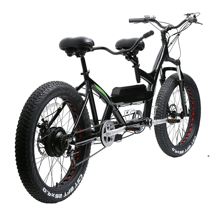 2 Seats Outdoor Cruiser Fat Tire Bicycle Two Wheeled Tandem Road Bike With 250W Motor