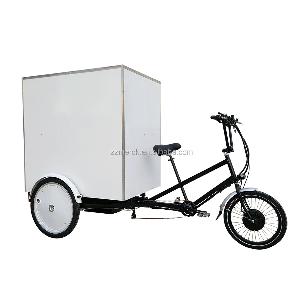 Restaurant Hotel Food Freight Heavy Load Grocery Moped Cargo Electric Bike