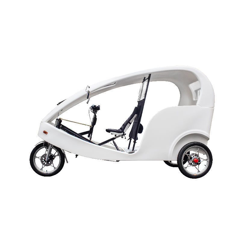 Logo Customized Electric Pedicab Rickshaw Three Wheels Cargo Bike Trike Adult Passenger Tricycle