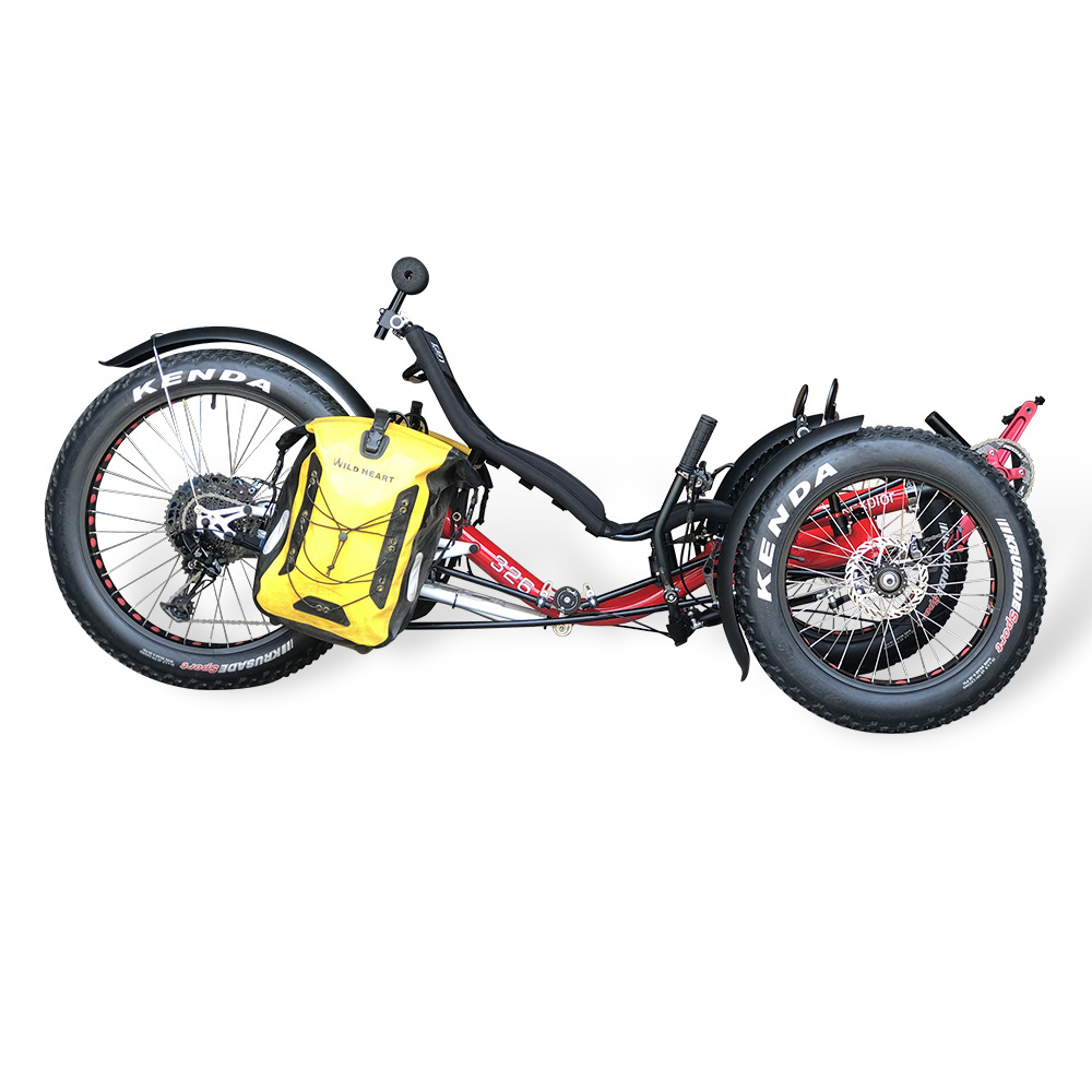 Free Shipping Beach Cruiser 500watt Motor Electric Fat Tad Tadpole Recumbent Tricycle Trike