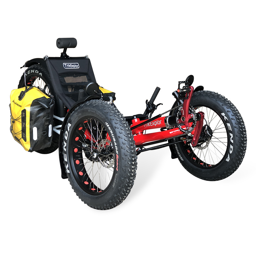 Free Shipping Beach Cruiser 500watt Motor Electric Fat Tad Tadpole Recumbent Tricycle Trike