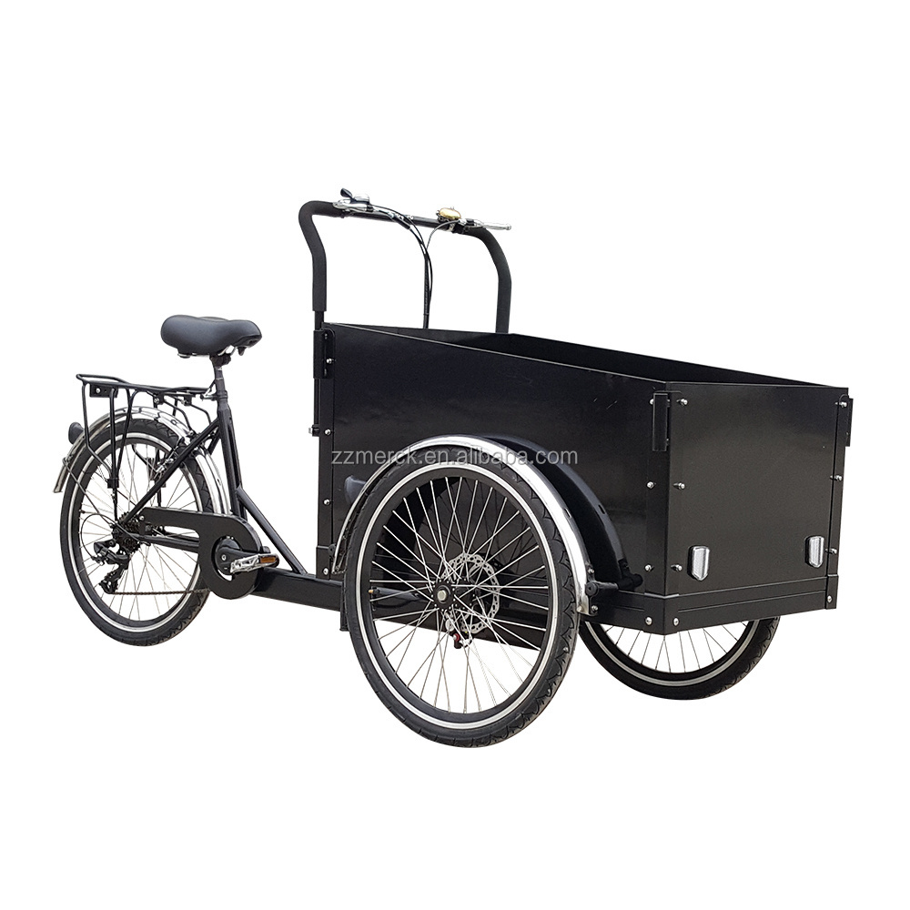 OEM Design Big Front Loading Basket Electric Family Cargo Bike with Door and Lock