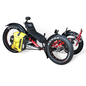 Free Shipping Beach Cruiser 500watt Motor Electric Fat Tad Tadpole Recumbent Tricycle Trike