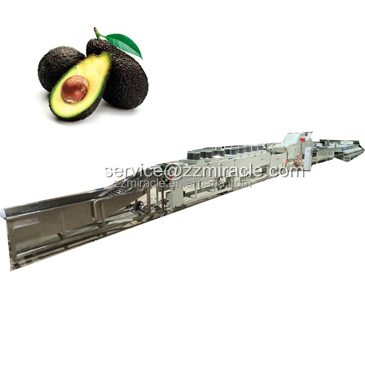 Avocado cleaning and grading machine avocado waxing grading machine for sale