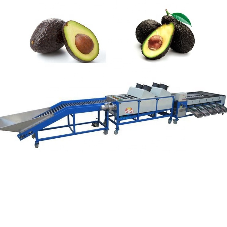 Avocado cleaning and grading machine avocado waxing grading machine for sale