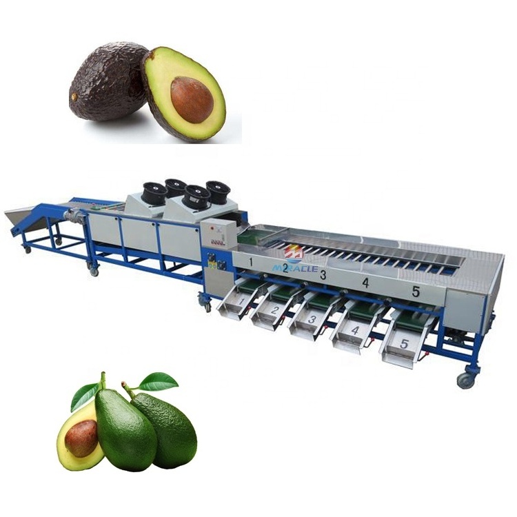 Avocado cleaning and grading machine avocado waxing grading machine for sale