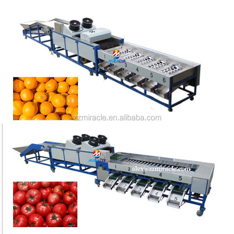 Avocado cleaning and grading machine avocado waxing grading machine for sale