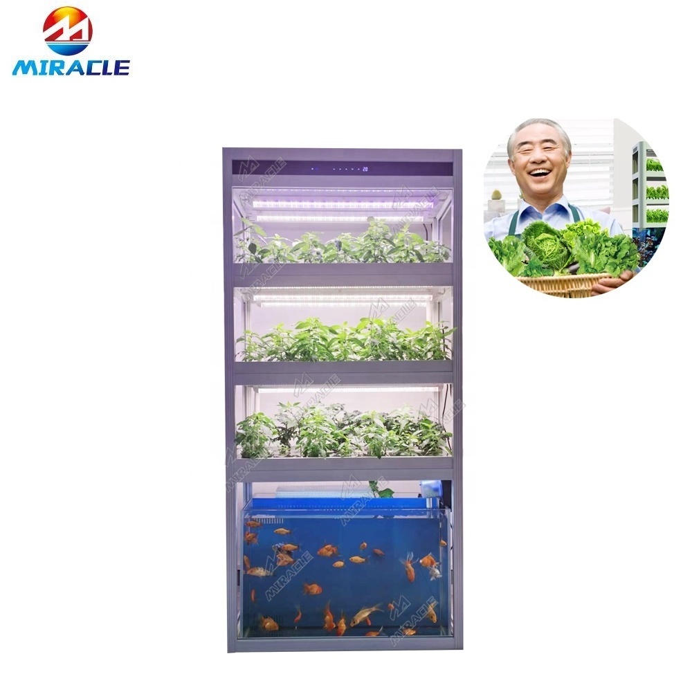 Automatic LED commercial grow lights vertical hydroponic growing systems Lettuce onion hydroponic growing system