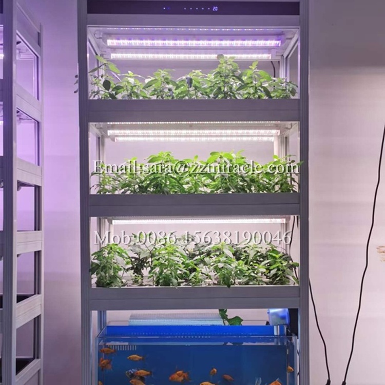 Automatic LED commercial grow lights vertical hydroponic growing systems Lettuce onion hydroponic growing system