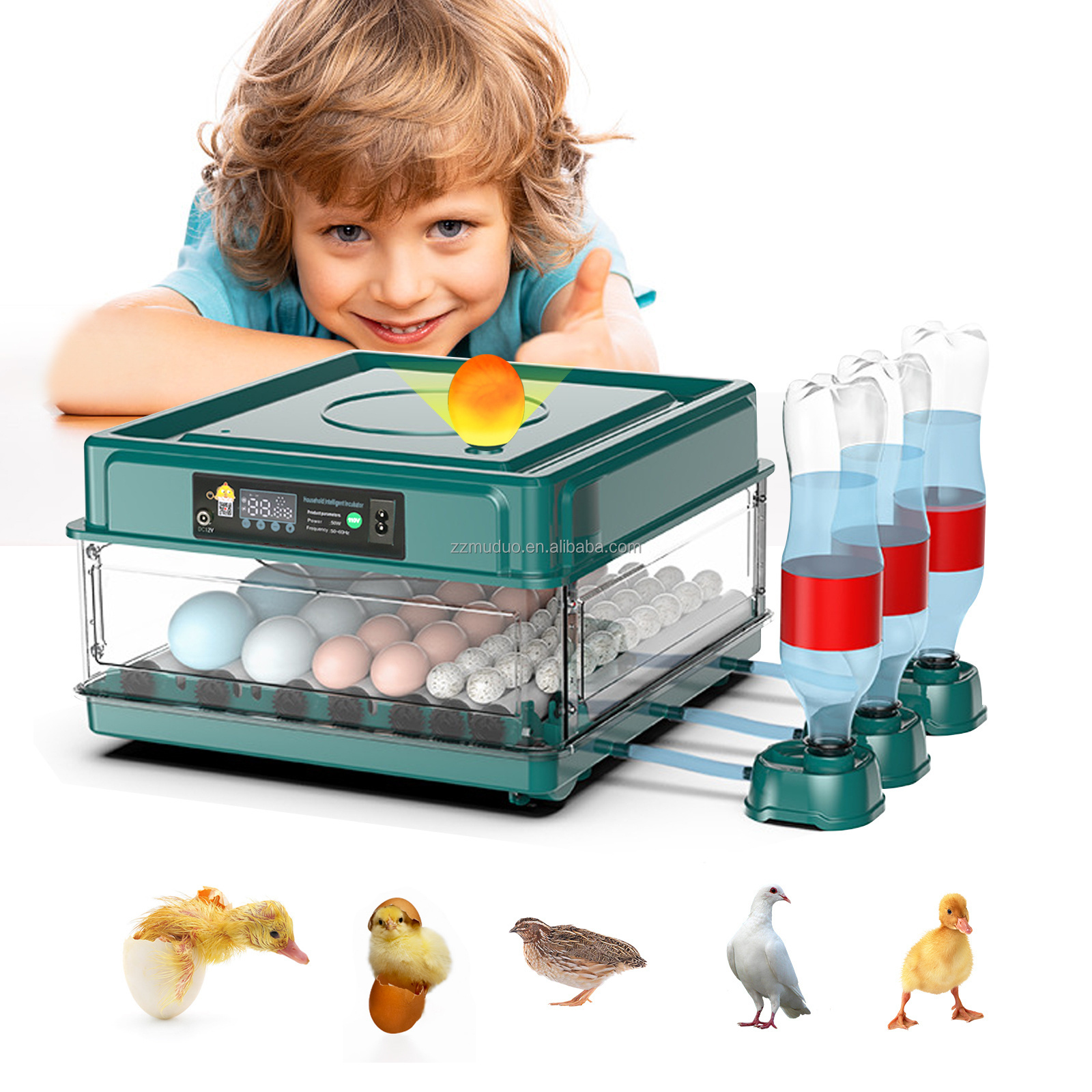 12 Eggs Chicken Incubator and Hatcher Poultry Egg Hatching Fully Automatic Egg Incubators