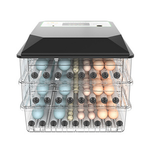 Automatic Incubators Egg Hatching Machine Quail Broiler Chicken Egg Incubator