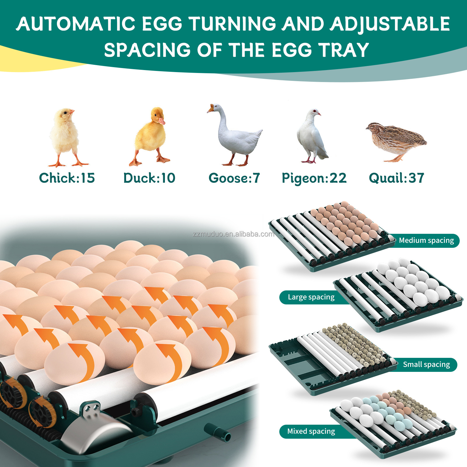 12 Eggs Chicken Incubator and Hatcher Poultry Egg Hatching Fully Automatic Egg Incubators