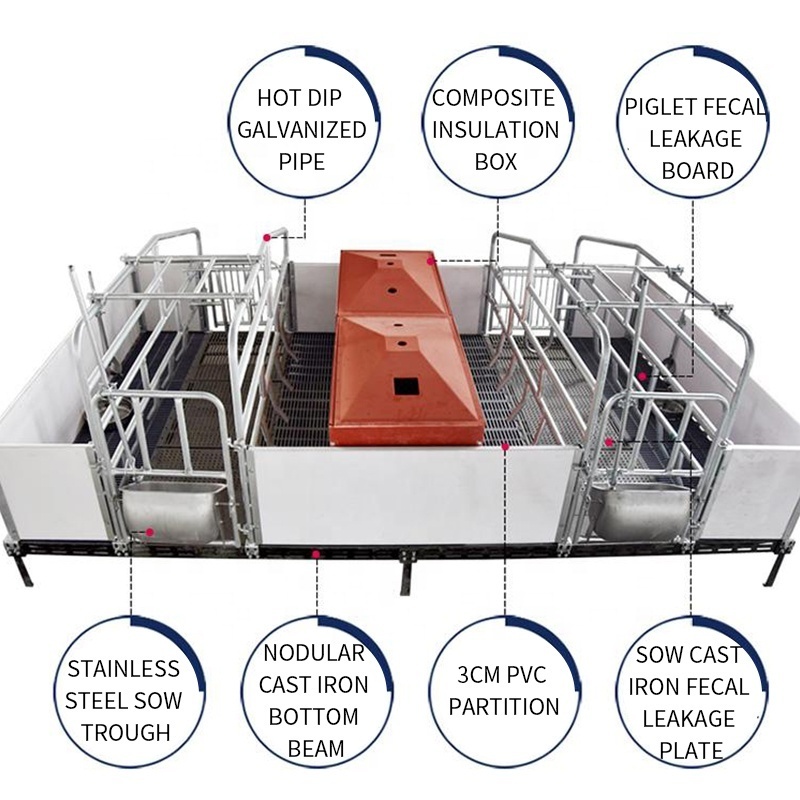 Pig Farming Equipment Stainless Steel Farrowing Crates Pig Grate floor Sow Feeder Farrowing Crates for Pigs