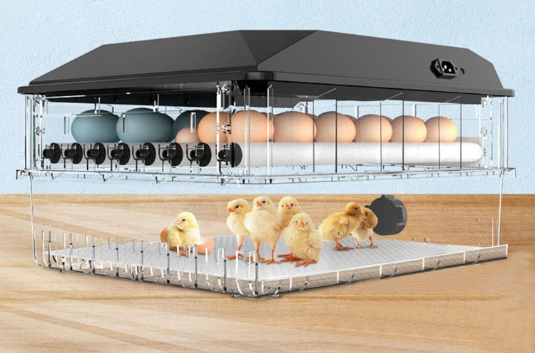 Automatic Incubators Egg Hatching Machine Quail Broiler Chicken Egg Incubator