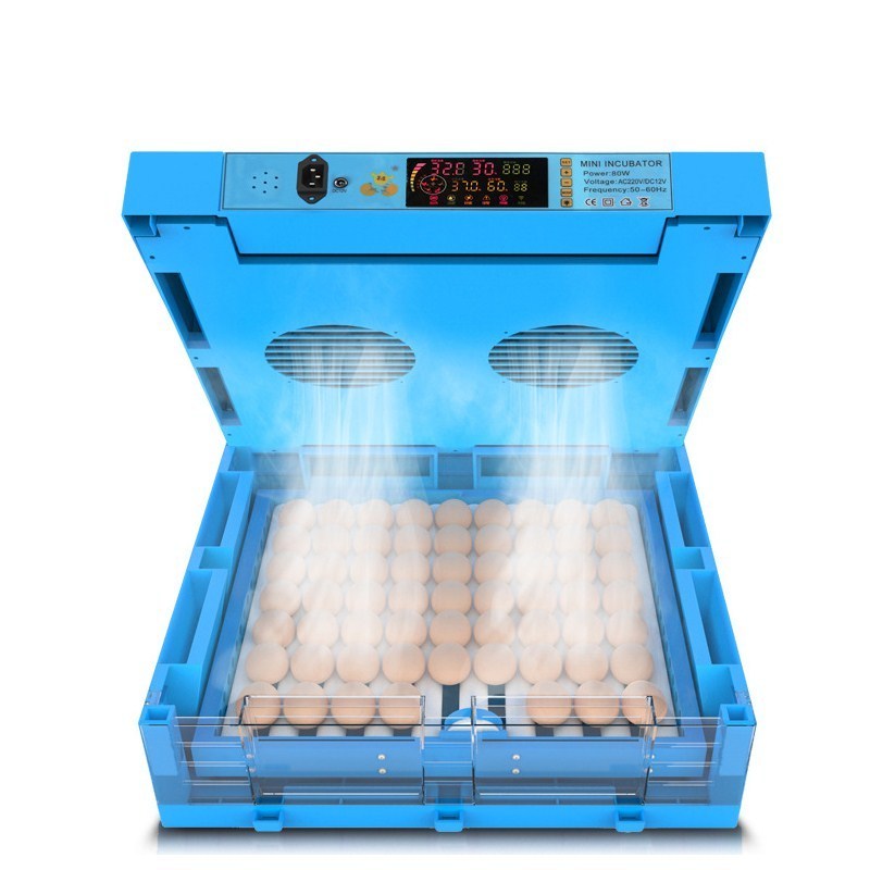 Full Automatic Eggs Incubators Blue Chicken Duck Goose Bird Egg Incubators For Sale