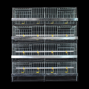 H Type Chicken Brooder Layer Cage Broiler 4 Layers Poultry Cages Day Old Chicks Chicken Cage