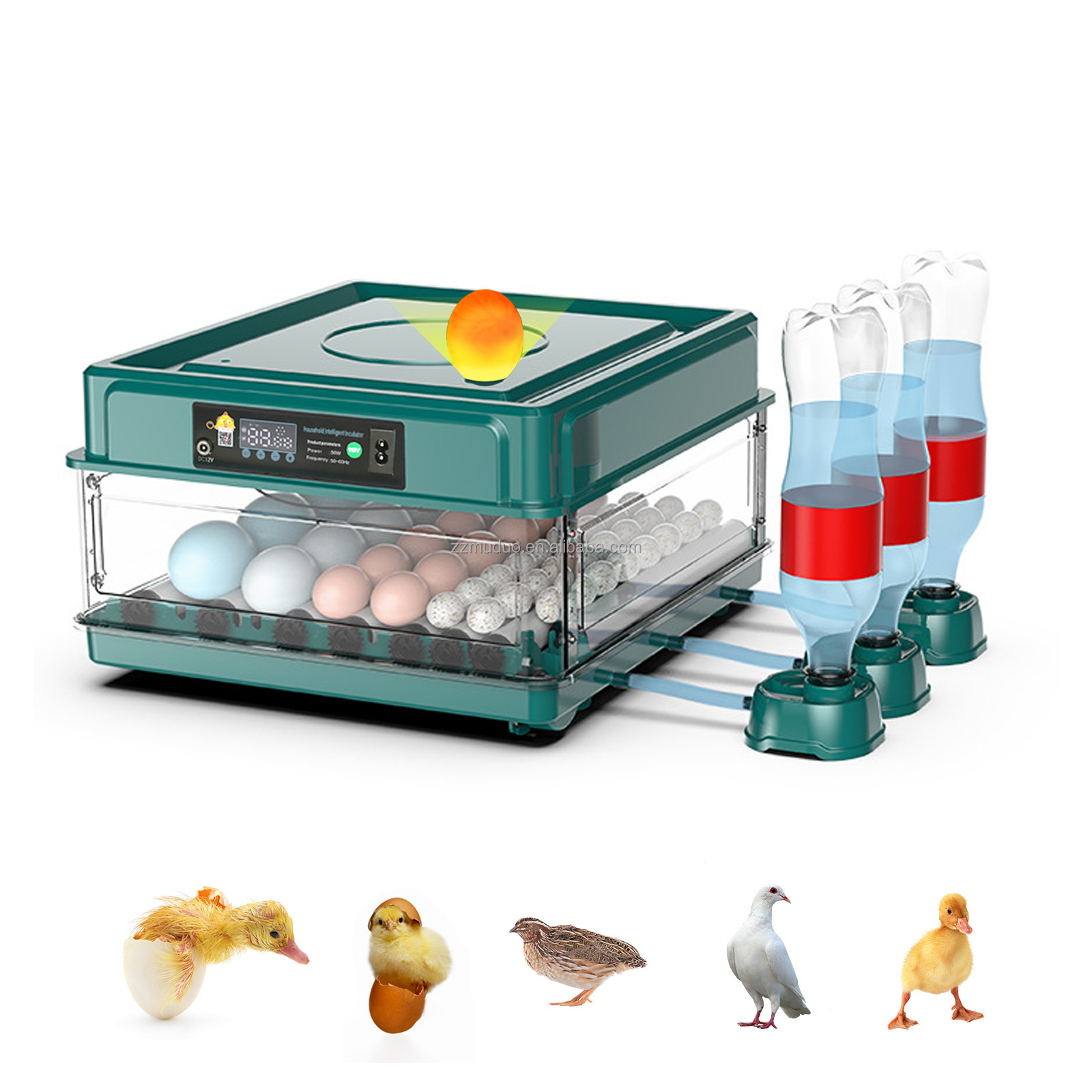 12 Eggs Chicken Incubator and Hatcher Poultry Egg Hatching Fully Automatic Egg Incubators