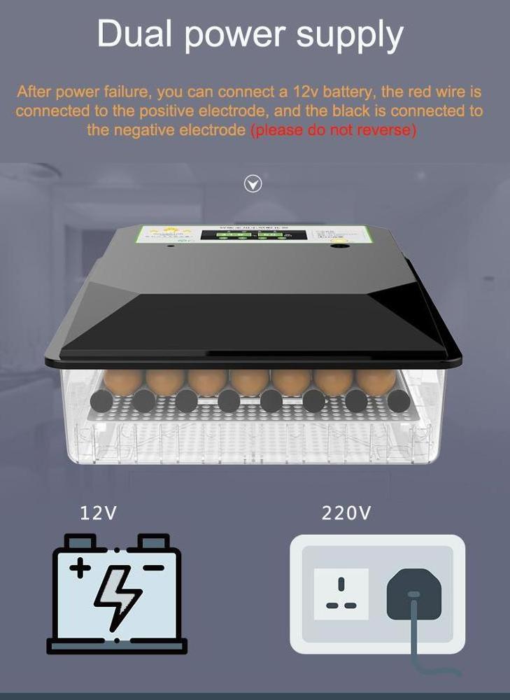 Automatic Incubators Egg Hatching Machine Quail Broiler Chicken Egg Incubator