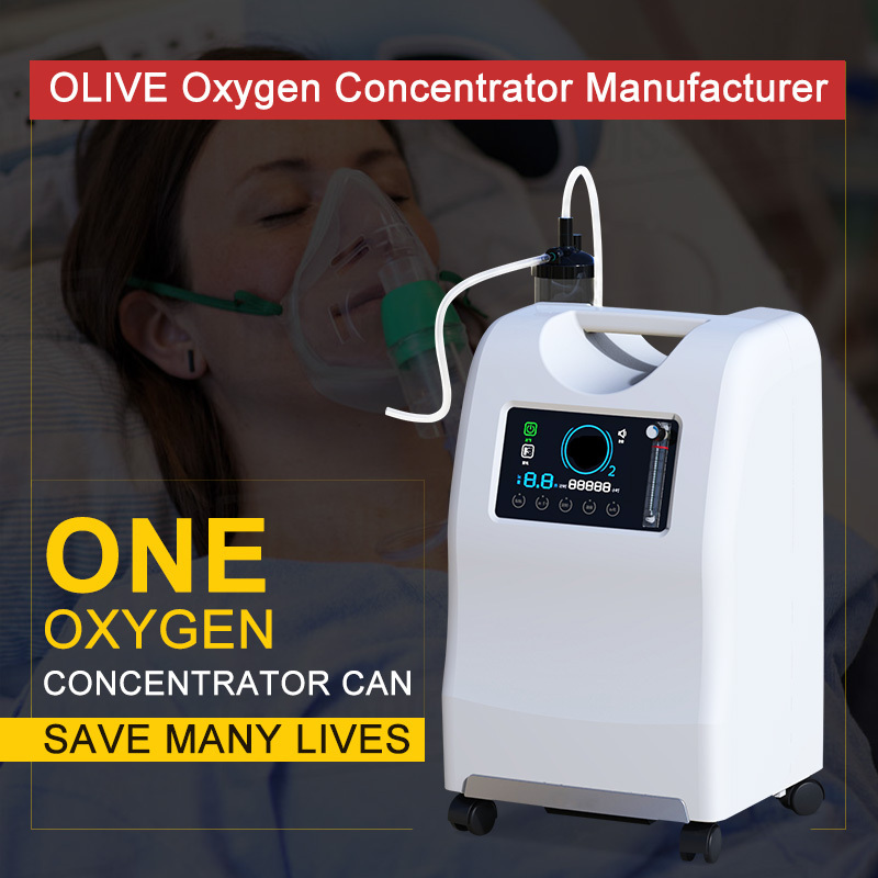 STOCK Wholesale Consentrador de OxigenoHome 96% Purity Dual Flow Medical Grade 7 l 10 Liter Oxygen Concentrator with Voice