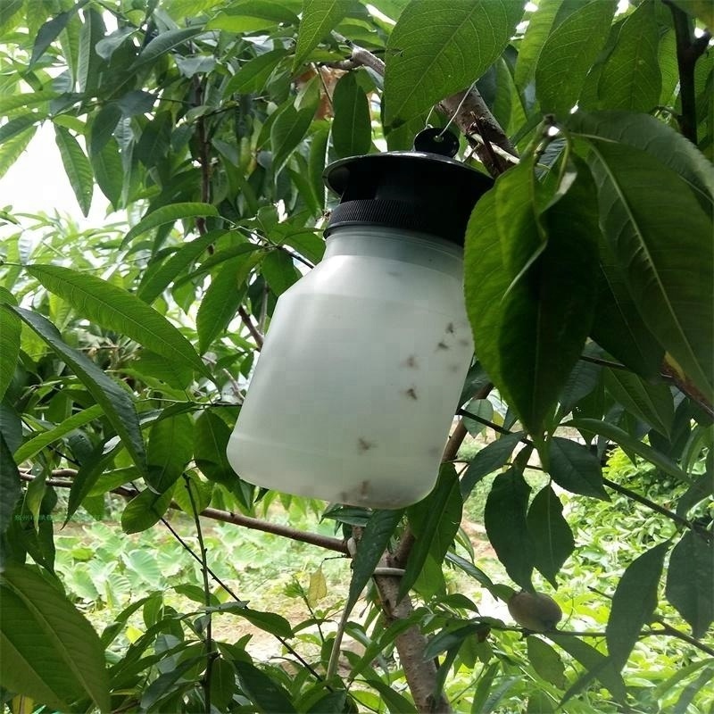 Best fruit fly trap from manufacturer