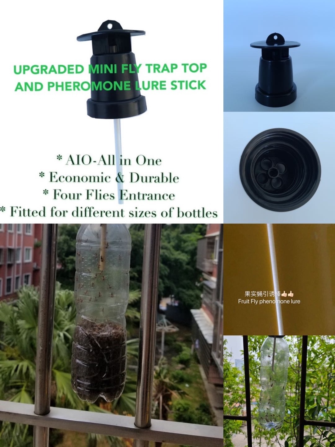 upgraded mini fruit fly trap tops with pheromone sticks from manufacturer