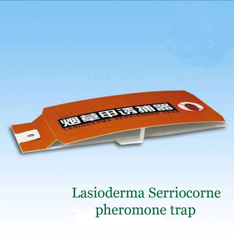 Lasioderma serriocorne pheromone traps for cigarette beetle control